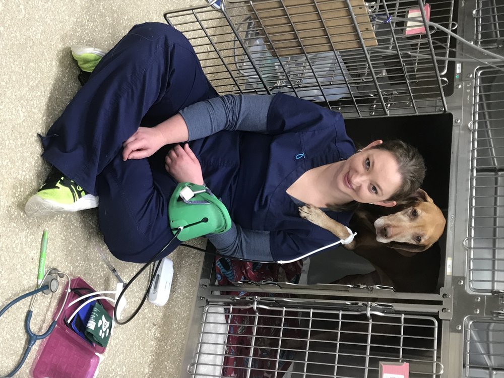 Aldie Veterinary Hospital