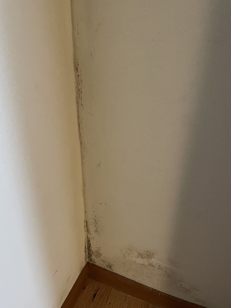 image of business All in the Details Handyman Service