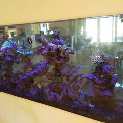 live water aquariums 29