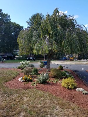 Andrews Landscaping And Tree Service 34 Lisa Lowell Photo Of Andrews Landscaping And Tree Service Lowell Ma United States