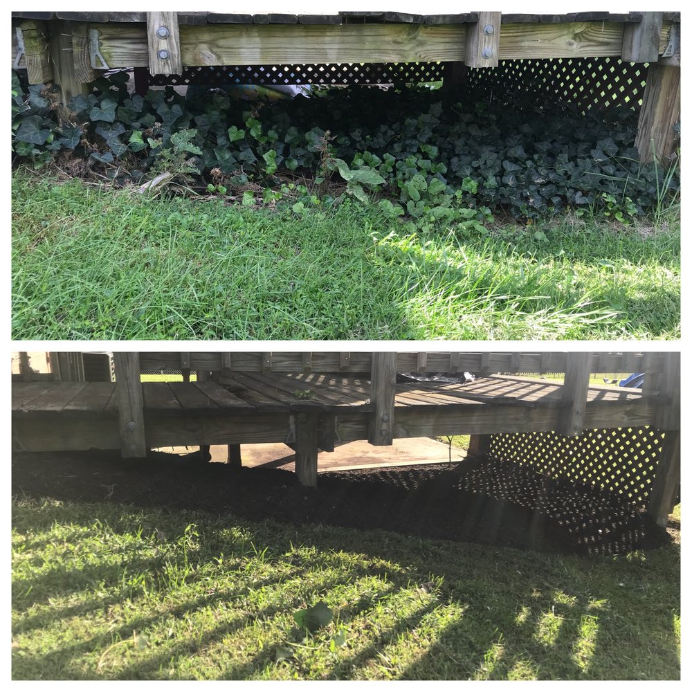 Benitez Landscape & Design