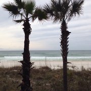 Paradise Palms Inn 17 Photos 18 Reviews Hotels 12907 Front Photo Of Paradise Palms Inn Panama City Beach Fl United States From