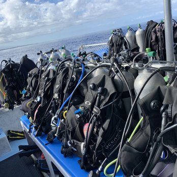 Kona Diving Company >> Kona Diving Company 98 Photos 220 Reviews Diving 74 5615 Kona Diving Company >> Kona Diving Company 98 Photos 220 Reviews Diving 74 5615