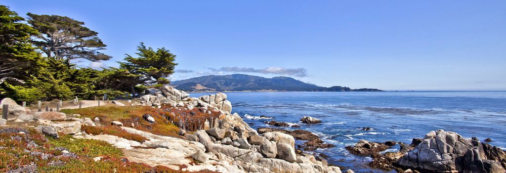 Monterey Bay Pest Control