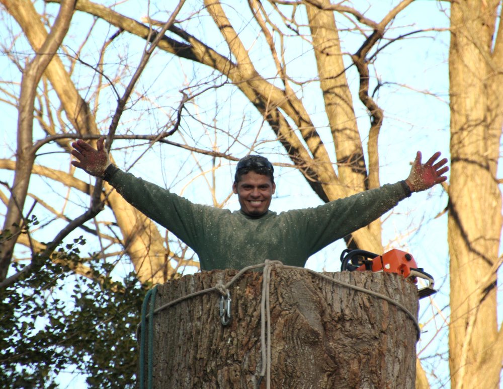 Williams Tree Care