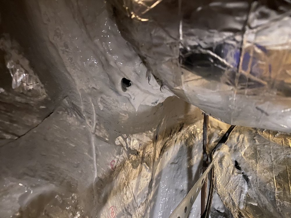 image of business Elmer