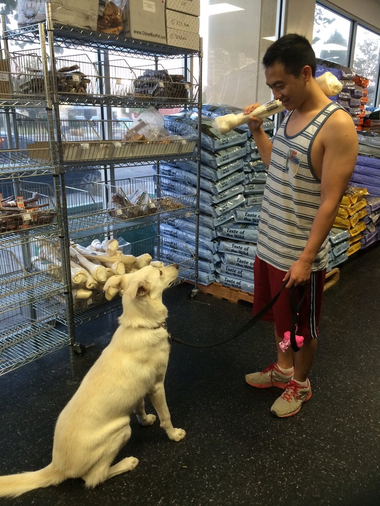 Global Pet Food Outlet Culver City Ca Global Pet Food Outlet Culver City Ca