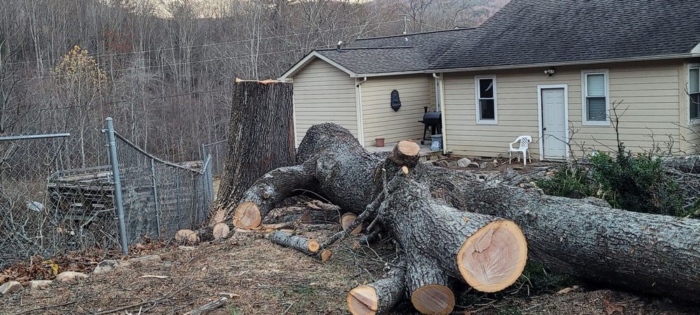 Nicolas Landscaping and Tree Service