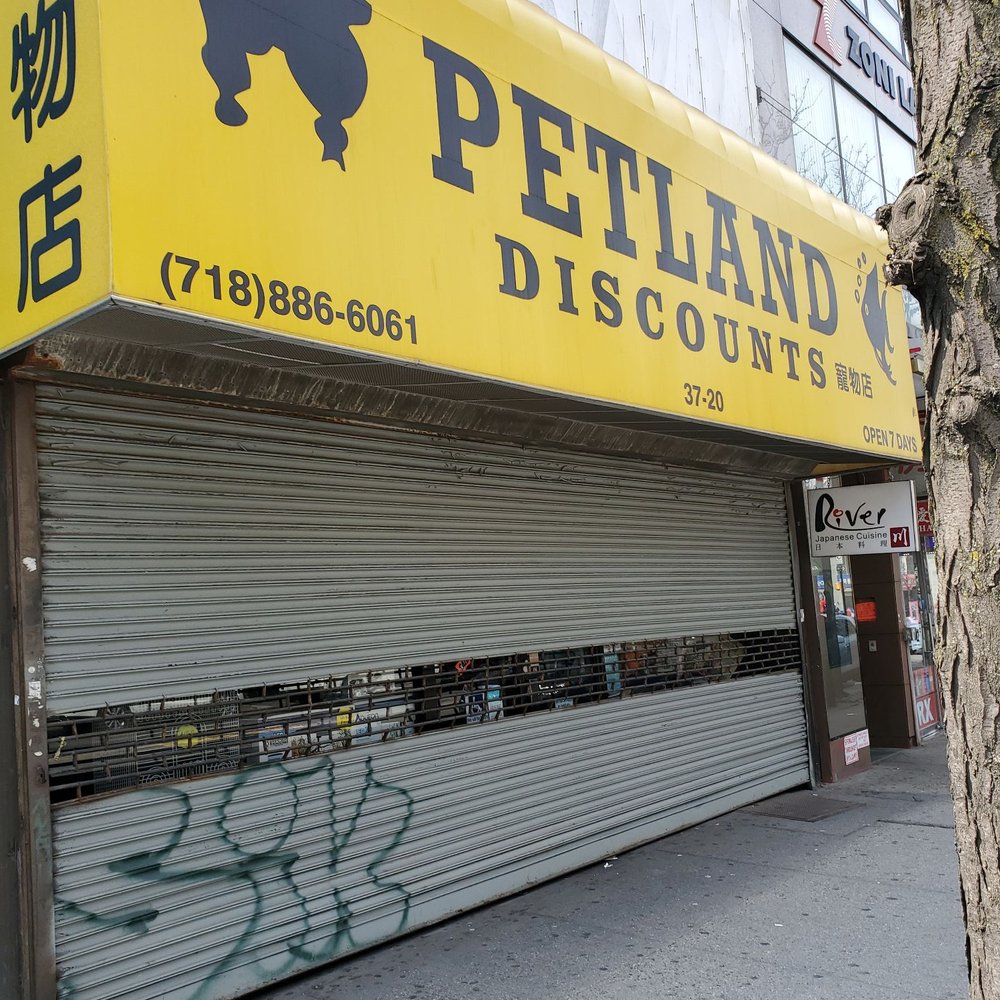 Aquarium and Pet Stores Yelp