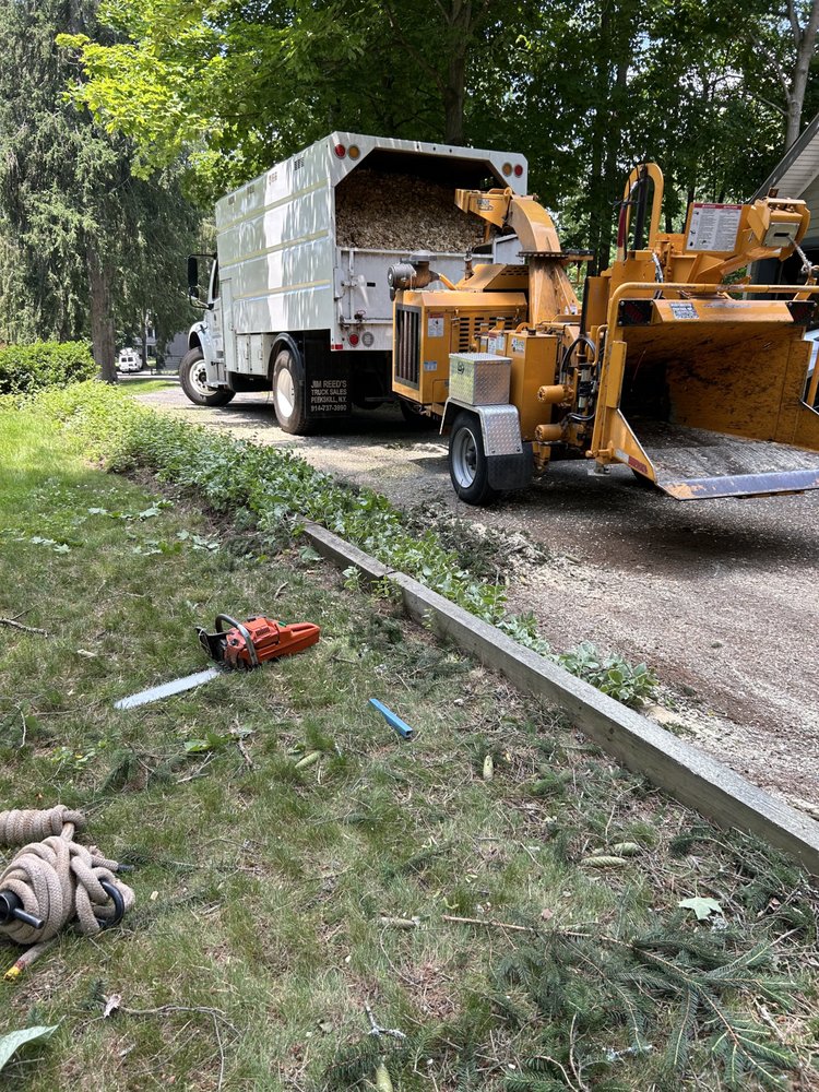 WM Tree Services