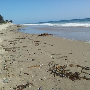 Rincon Beach Park 99 Photos 29 Reviews Parks Carpinteria Ca Photo Of Rincon Beach Park Carpinteria Ca United States Seashells By The