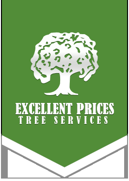 Excellent Prices Tree Services