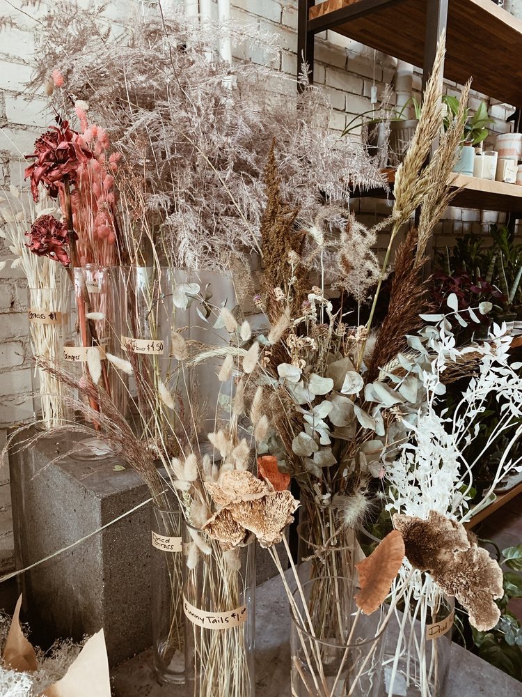 Escaping Tail End Of Winter By Roaming >> Sprout Home 135 Photos 133 Reviews Nurseries Gardening 59 Escaping Tail End Of Winter By Roaming >> Sprout Home 135 Photos 133 Reviews Nurseries Gardening 59