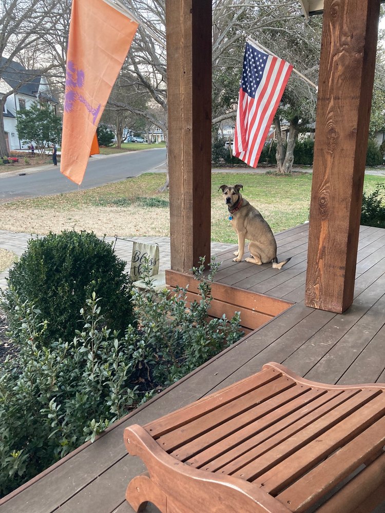 ClearDefense Pest Control