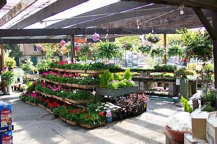 Dennis 7 Dees Landscaping Garden Center 24 Reviews Nurseries Dennis 7 Dees Landscaping Garden Center 24 Reviews Nurseries Gardening 10455 Sw Butner Rd Southwest Portland Or Phone Number Yelp