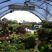 Millcreek Gardens 11 Photos 26 Reviews Nurseries Gardening Photo Of Millcreek Gardens Salt Lake City Ut United States
