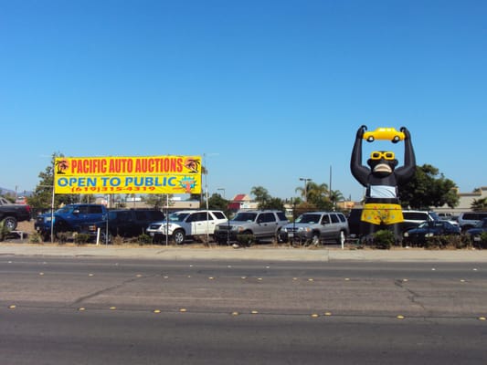 Pacific Auto Auction >> Pacific Auto Auctions Car Auctions 1338 E Main St El Pacific Auto Auction >> Pacific Auto Auctions Car Auctions 1338 E Main St El