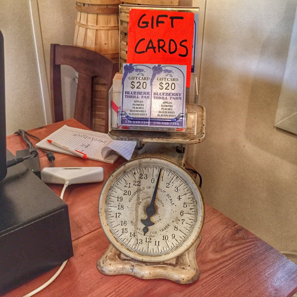 Blueberry Thrill Farm