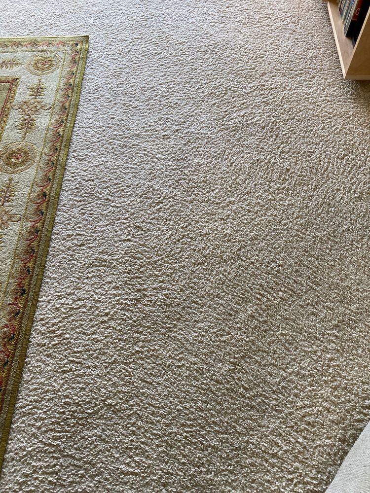 Dry Carpet Care