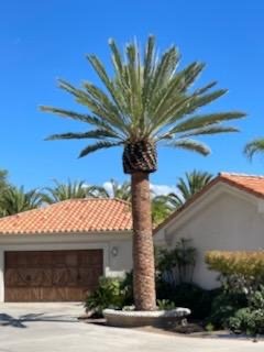 North And South Tree care