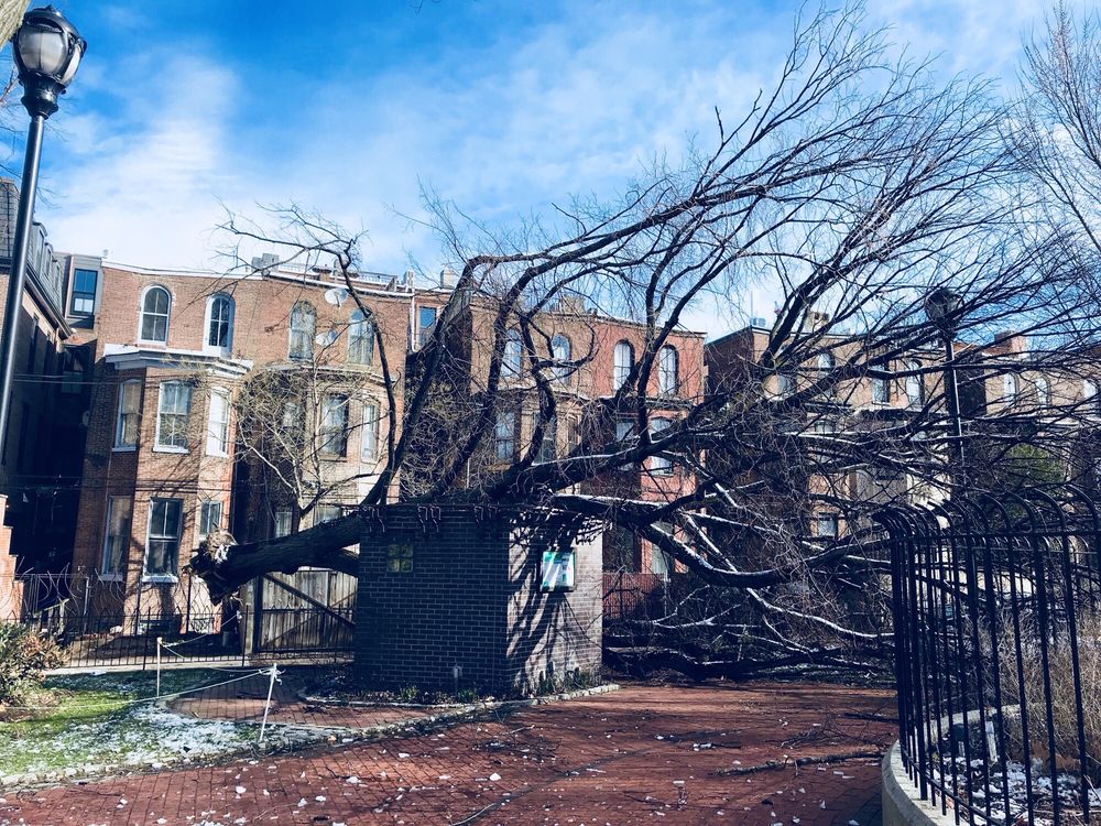 Fitler Square 17 Photos & 21 Reviews Parks Pine St, Fitler Square