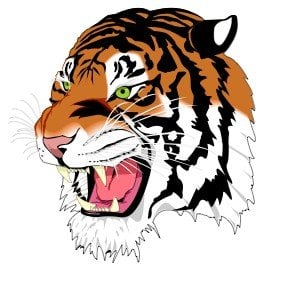 Tiger Point Express Car Wash
