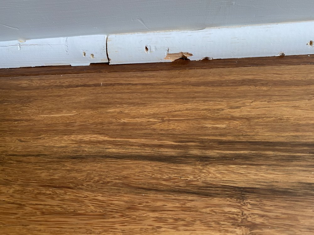 True Colors Painting And Remodeling