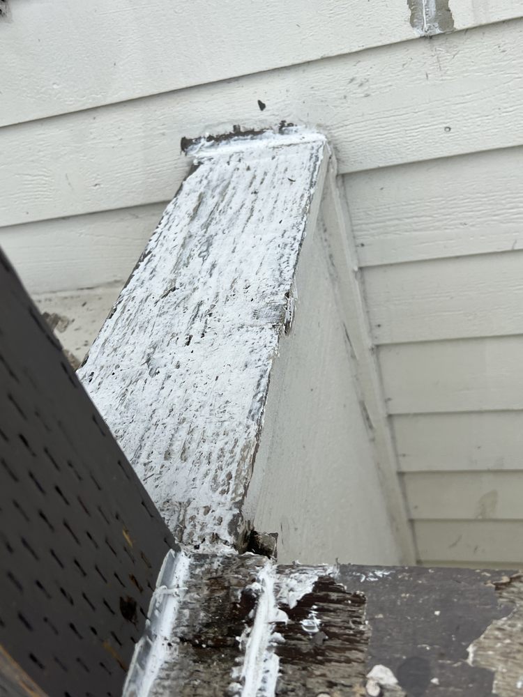 Polos Quality Painting