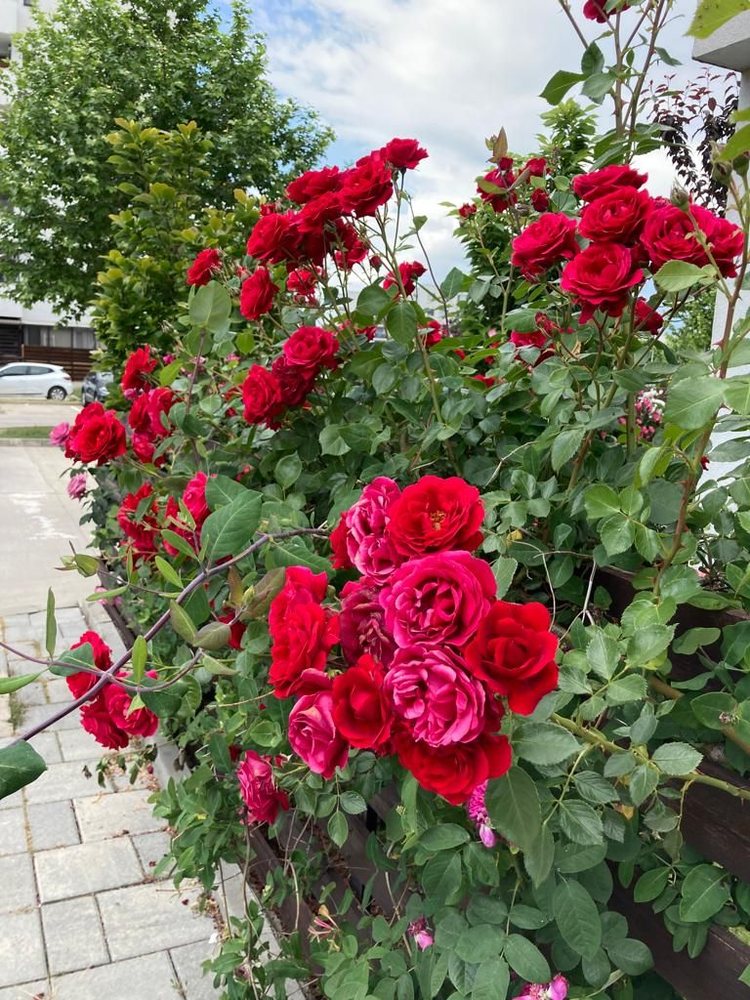 A+ Sebastian PC Repairs