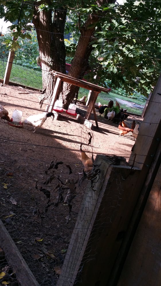 Gladheart Farms Distribution