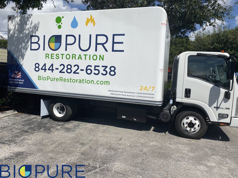 BioPure Restoration