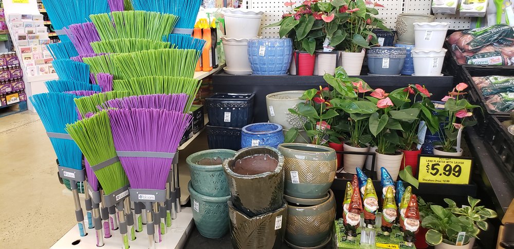 Grocery Outlet Bargain Market