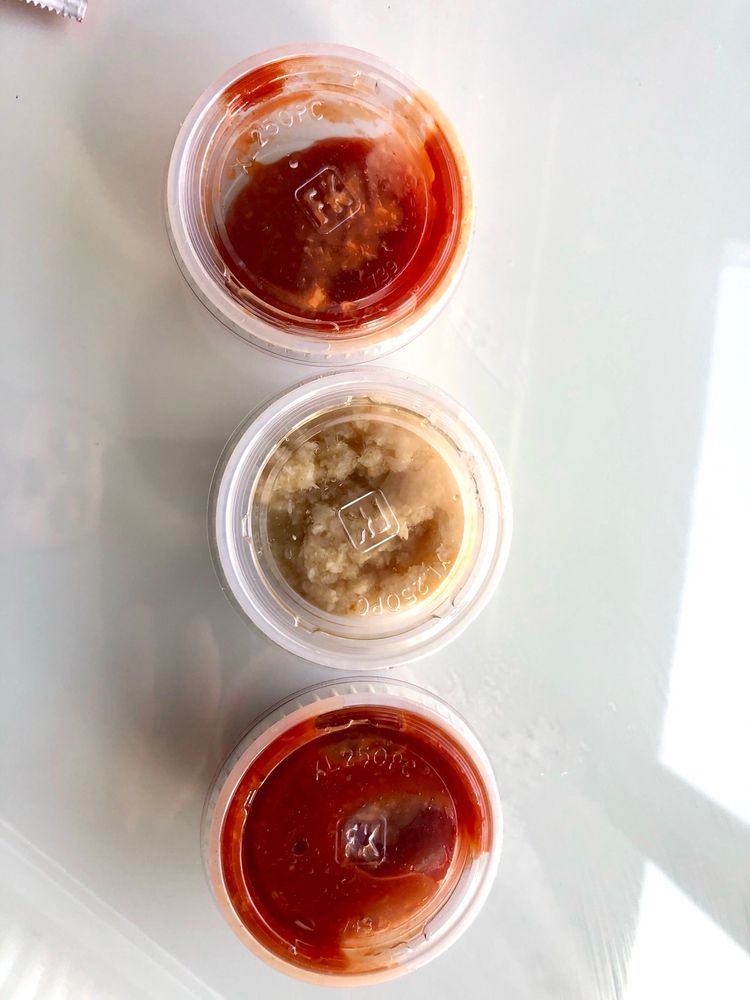 Bird's Aphrodisiac Oyster Shack