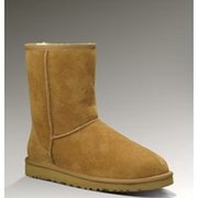 ugg outlet wisconsin ugg outlet wisconsin