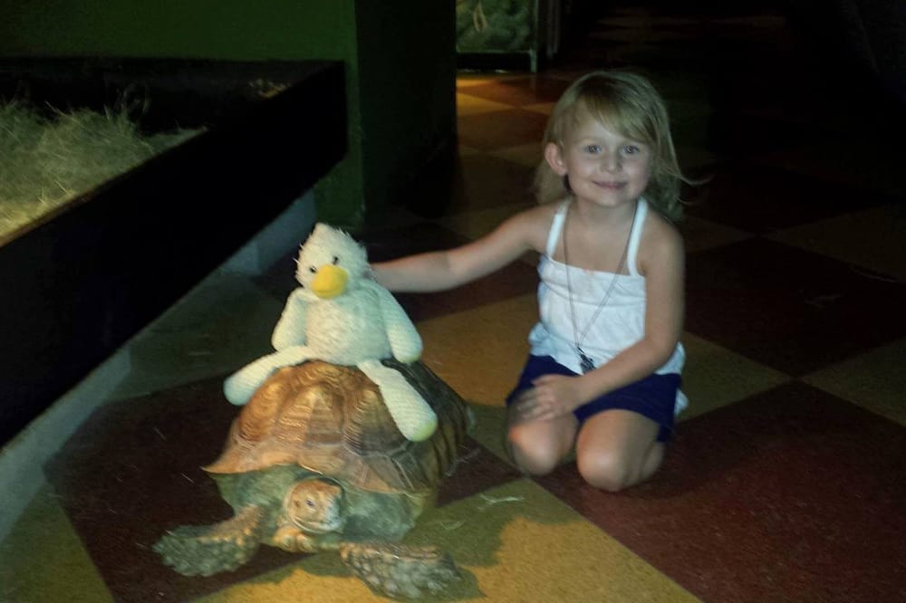 The National Park Aquarium 16 Reviews Aquariums 209 Central Ave