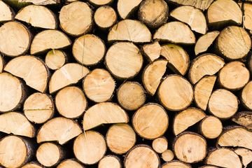 Woodchuck's Arbor Care