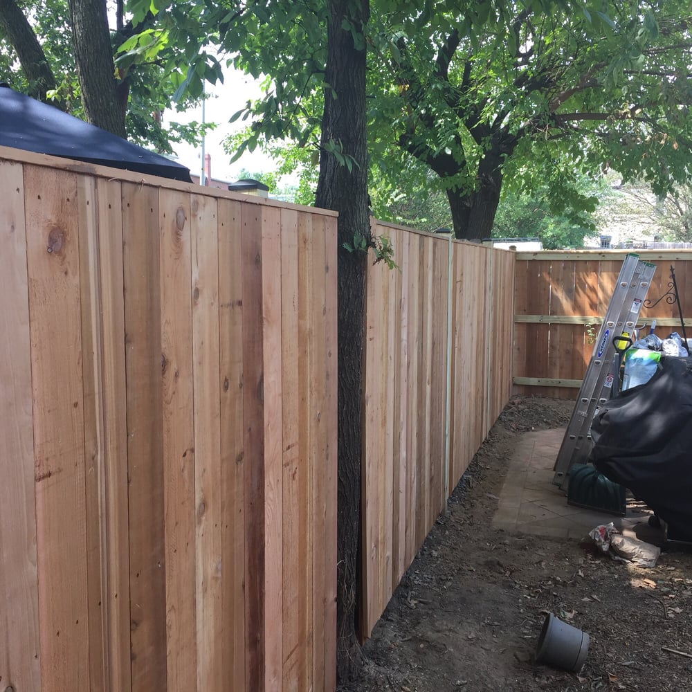 Deck N Fence