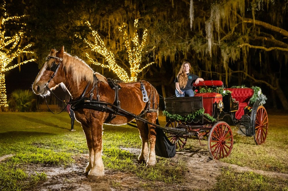 Moonlit Acre Carriages
