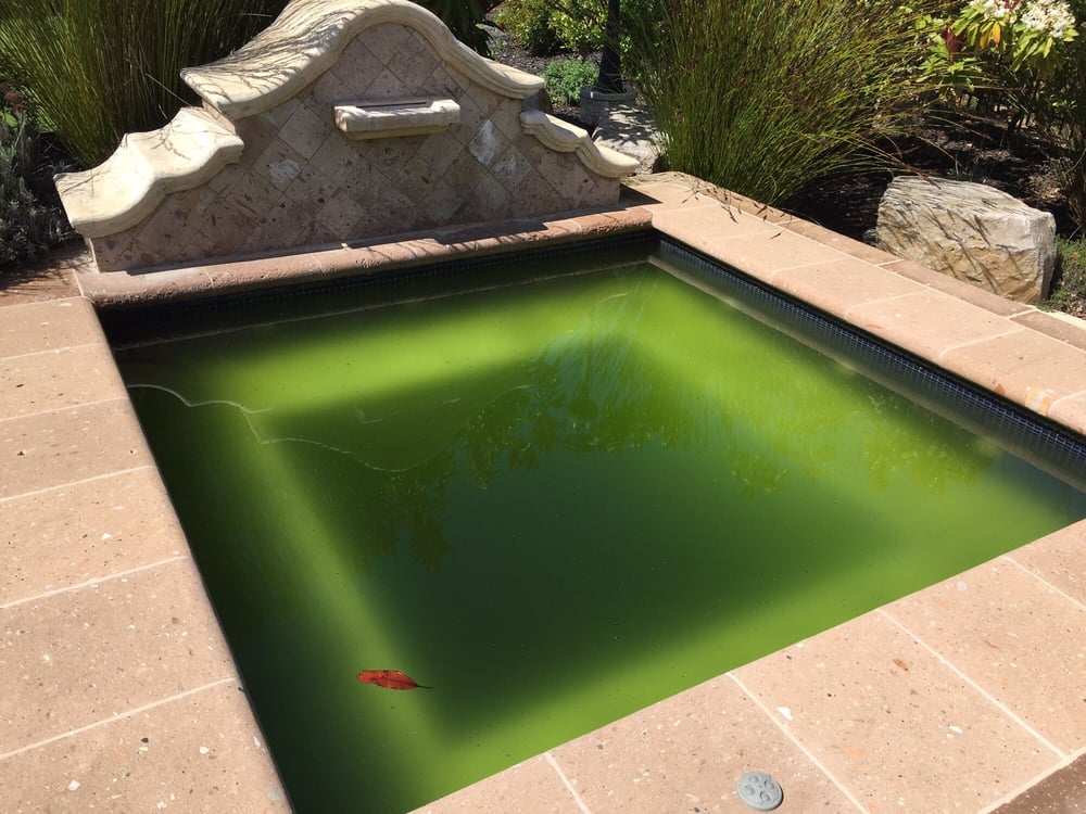 Aqua Clean Pool Service