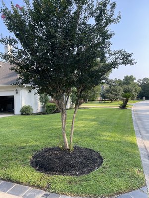 All In All Commercial & Residential Care