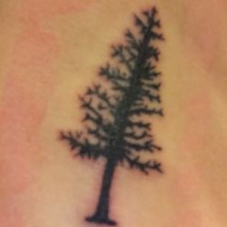Photo Of Painless Rics Tattoo Studio Camas Wa United States Photo Of Painless Rics Tattoo Studio Camas Wa United States