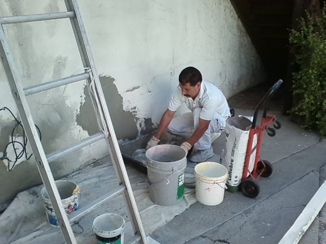 Gamas Painting