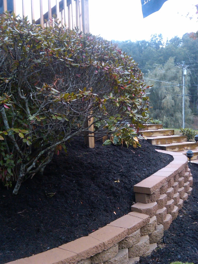 Yard By Yard Lawn Care