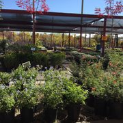 Eastside Nursery 26 Photos 12 Reviews