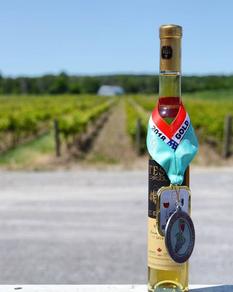 Willow Springs Winery & Vineyard