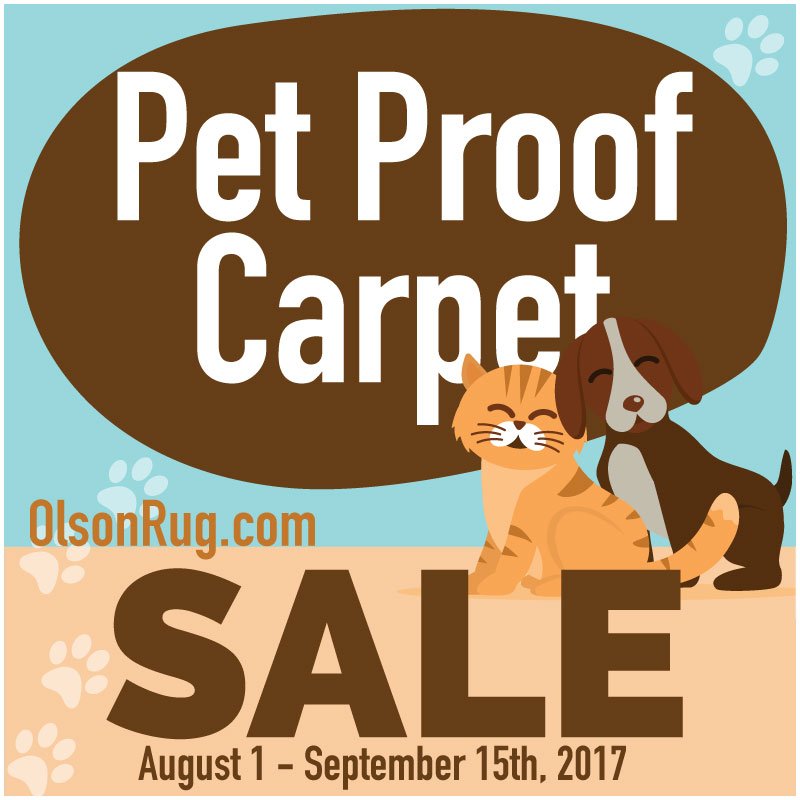 image of business Olson Rug & Flooring