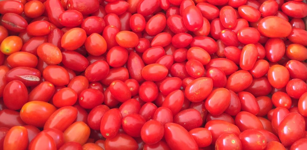 Fairfield Tomato Festival