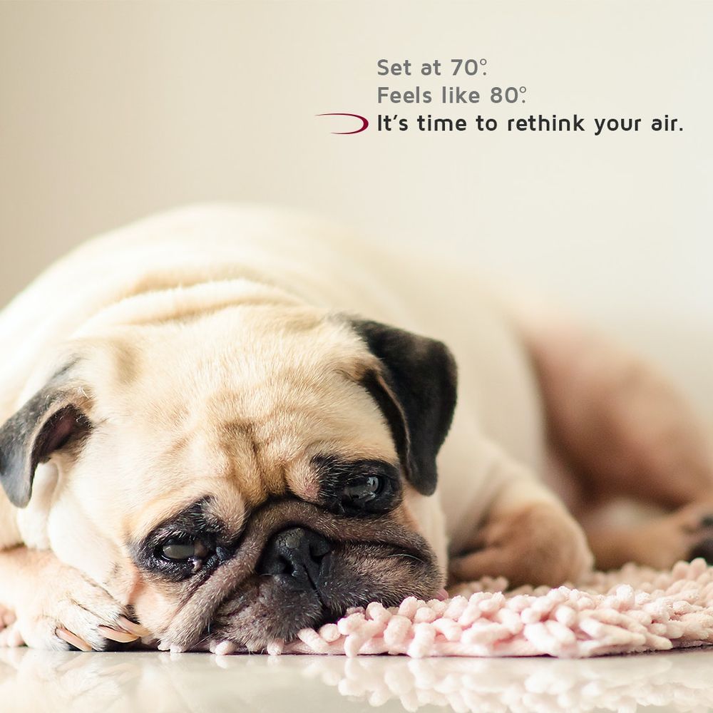 image of business Aurora Pro Services | HVAC, Plumbing, Electrical, & Roofing