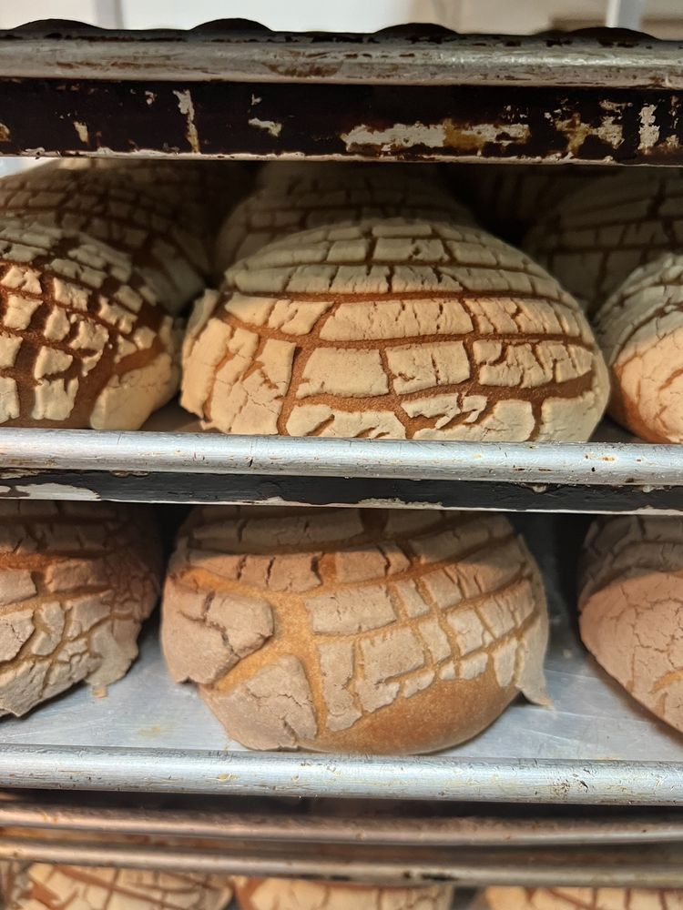 La Espiga De Oro Panaderia