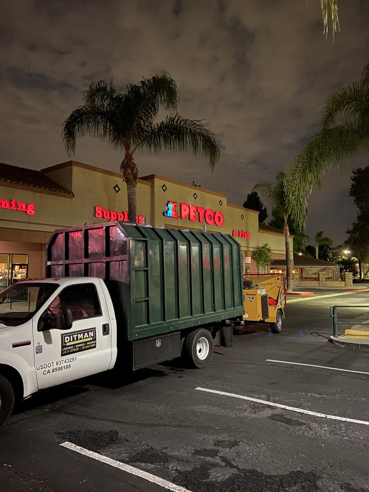 Ditman Tree Service 